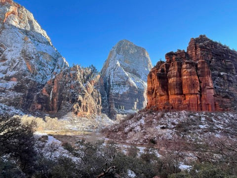 Zion in Winter