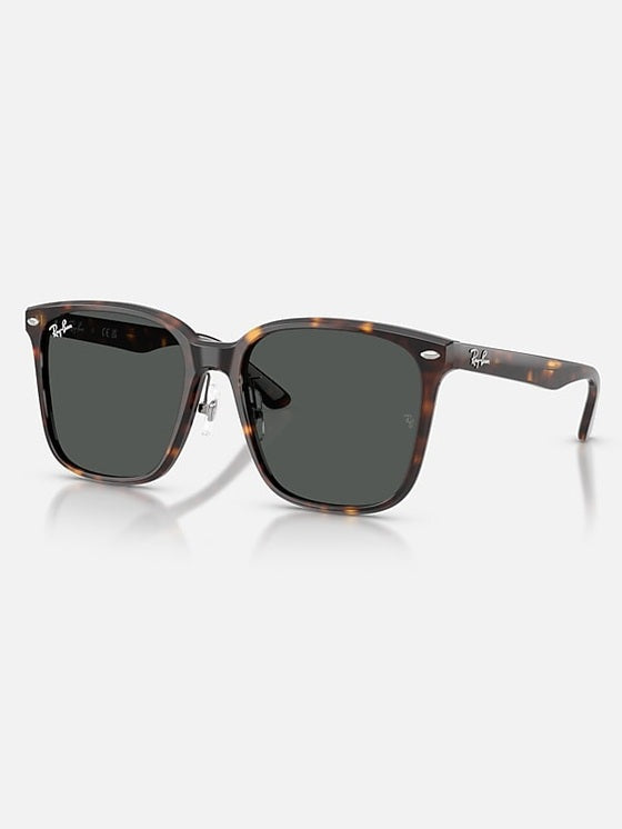 Sunglasses - RB2206D shop-escape-outdoors