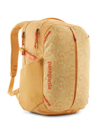 Refugio Day Pack 26L shop-escape-outdoors
