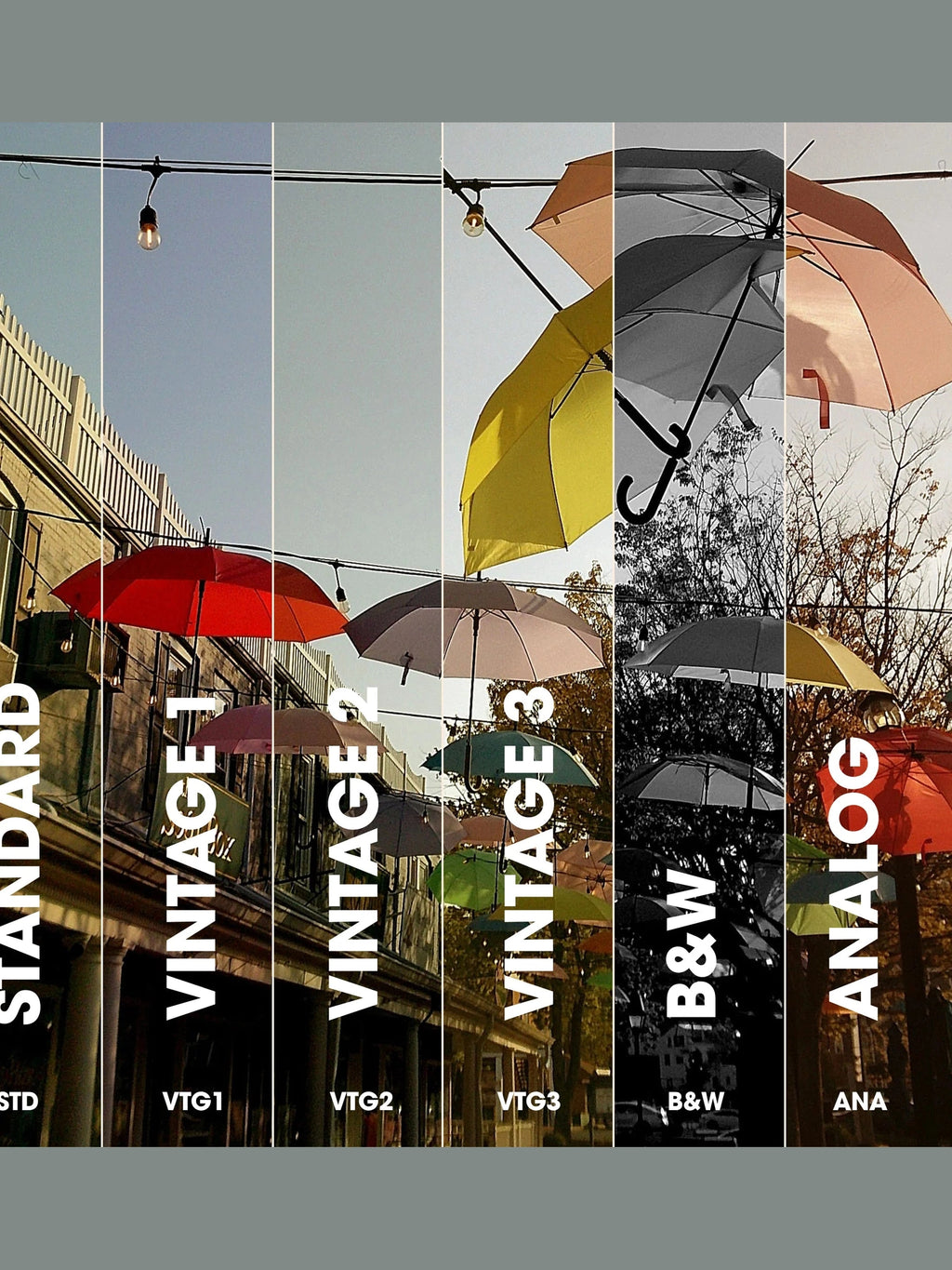 Camp Snap 2 shop-escape-outdoors