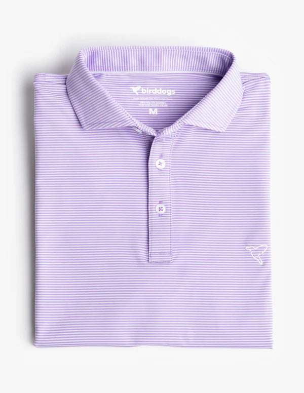 Birddogs Purple Stripe Polo shop-escape-outdoors