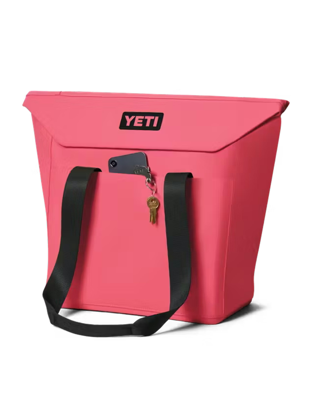 Daytrip 20L Insulated Tote Bag shop-escape-outdoors