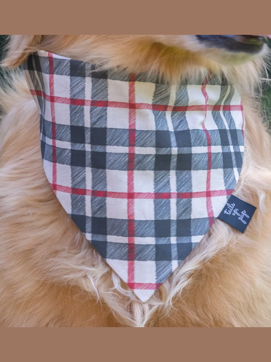 Slip On Dog Bandana shop-escape-outdoors