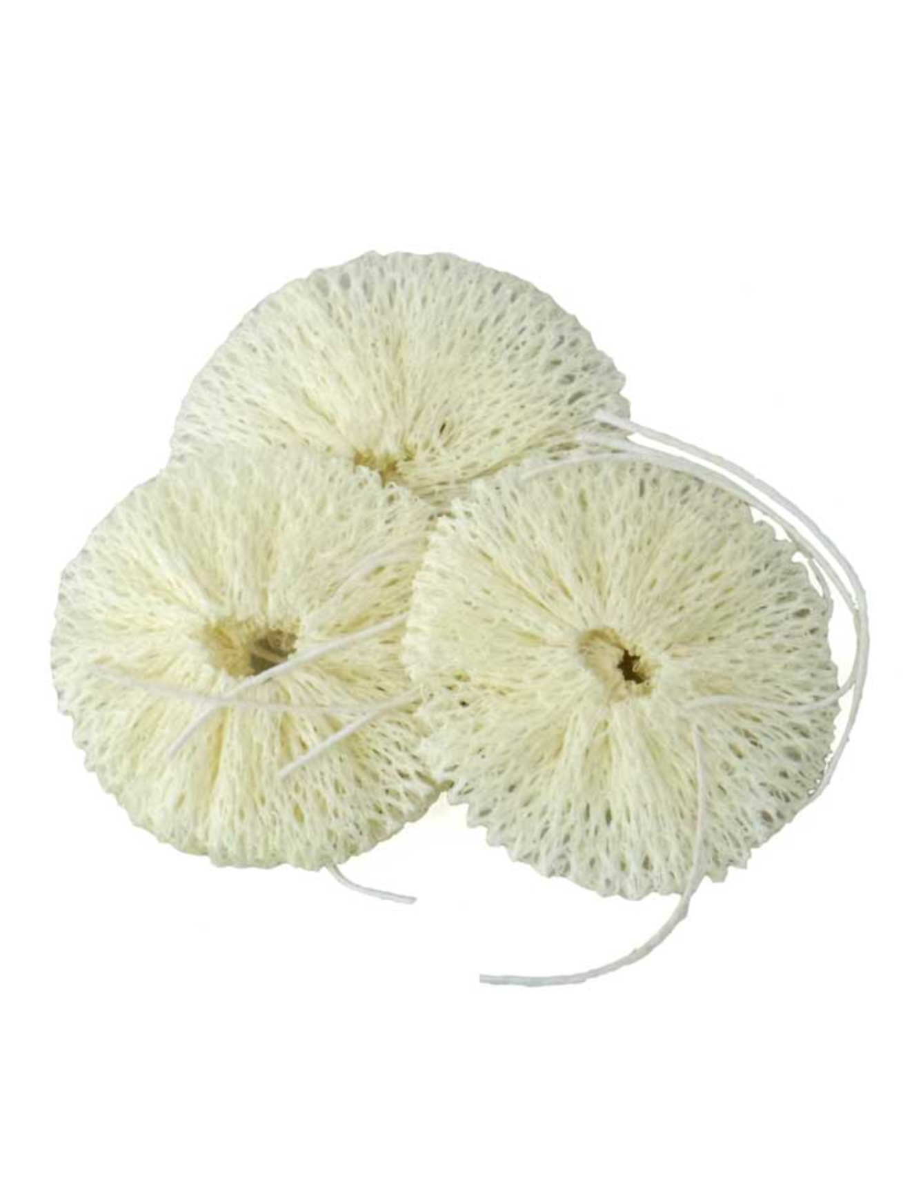 Compact Mantle shop-escape-outdoors