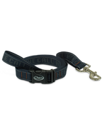 Dog Leash shop-escape-outdoors
