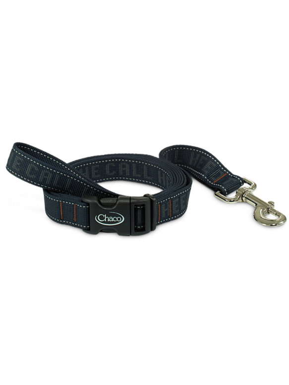Dog Leash shop-escape-outdoors