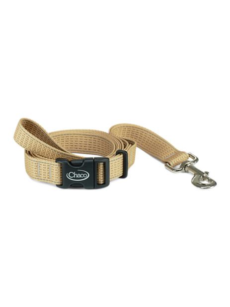 Dog Leash shop-escape-outdoors