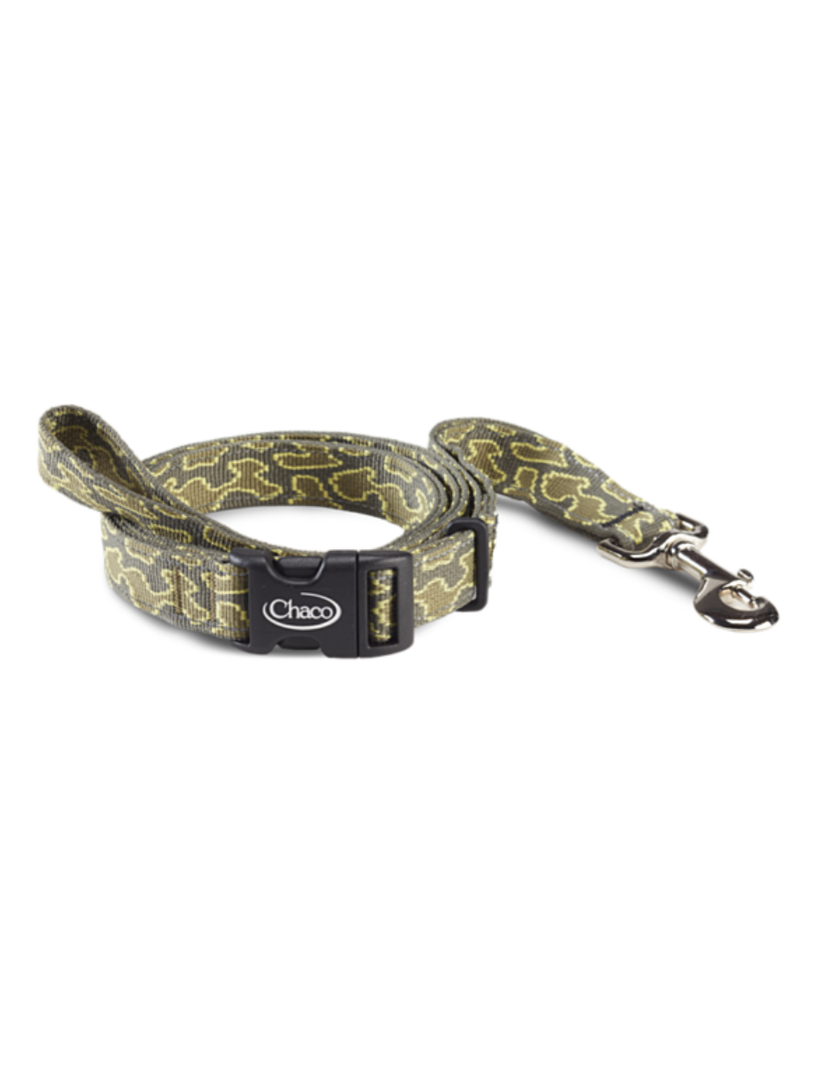 Dog Leash shop-escape-outdoors